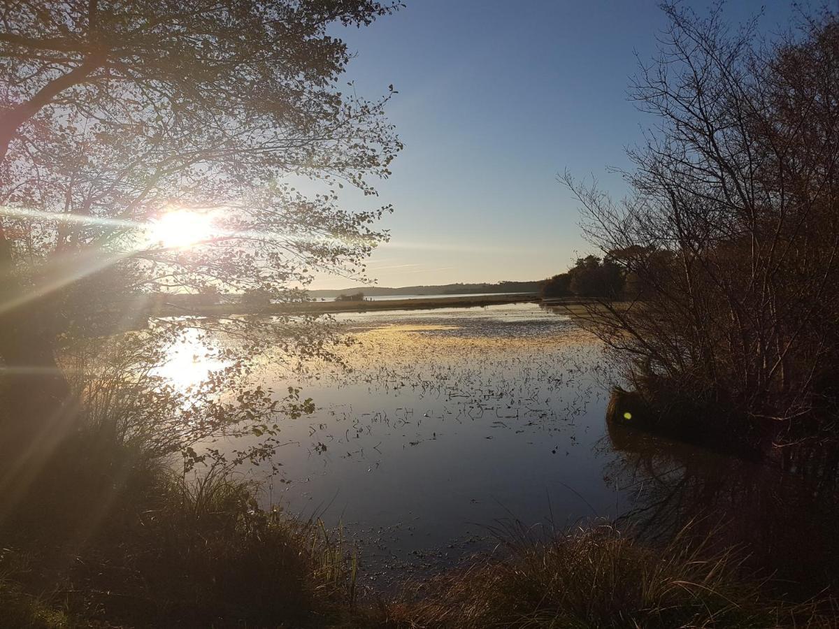 Les Terrasses Du Lac Piscine Et Vue Lac A4 Aureilhan  Exteriér fotografie